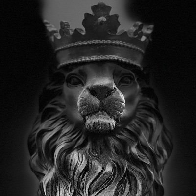 -^v-Liberty-^v Profile