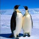 Matt Pace - @JupDaWoop - Twitter