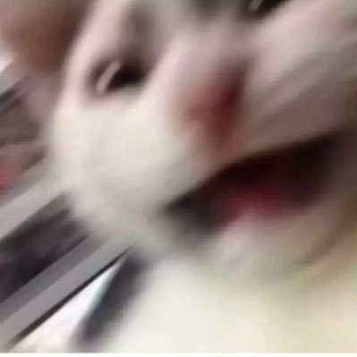 pararis4's profile picture. ⠀⠀⠀ You’re my only sunshine 🌻