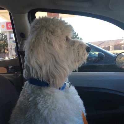 McraePamella's profile picture.