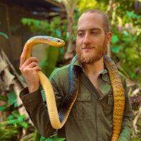 Raúl Ebbinghaus (@reedebbinghaus) 's Twitter Profile
