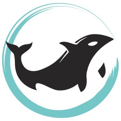 Black Whale Profile