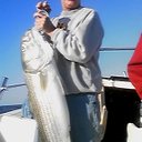 Dave Pierson - @osprey1952 - Twitter