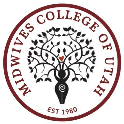 The Midwives College of Utah is a MEAC accredited distance education college offering a Bachelor and Master of Science in #Midwifery #nonprofit #MCU #birthwork