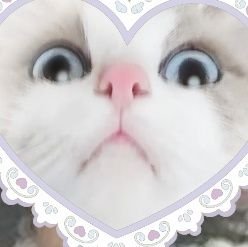 ꒰ঌひ め໒꒱さんのプロフィール画像