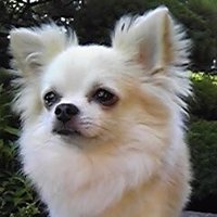 アイリス.。*♡ (@iris_sora_0329) 's Twitter Profile