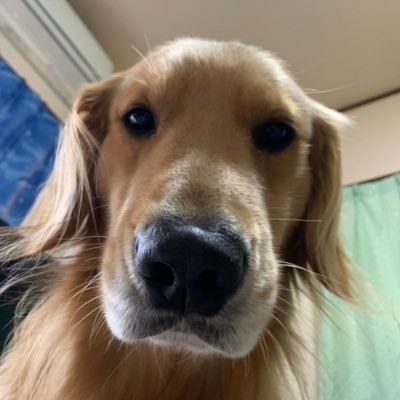 wutTQBeMOOCdRGK's profile picture. アンアスとステラソラをメインでゲームしてます！