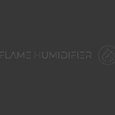 We sell Flame Air Humidifier’s for cheap with great quality and shipping times, see more at our website link in bio! https://t.co/mrzldQ1sxY