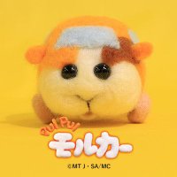 はー (@175mpb) 's Twitter Profile Photo はー (@175mpb) 's Twitter Profile Photo