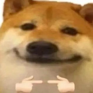 limao79487716's profile picture. hello，a happy Chinese people