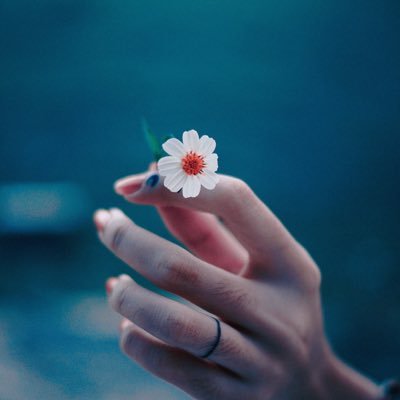 Sibonakaliso03's profile picture. Succes 🤕