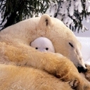 Edward Knoll - @EdwardKnolldigg - Twitter