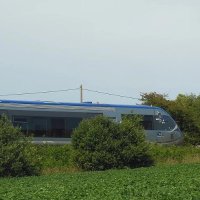 Association Promotion Morlaix Roscoff (@apmr29) 's Twitter Profile