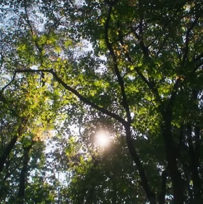 Realmente72's profile picture. Madrugada