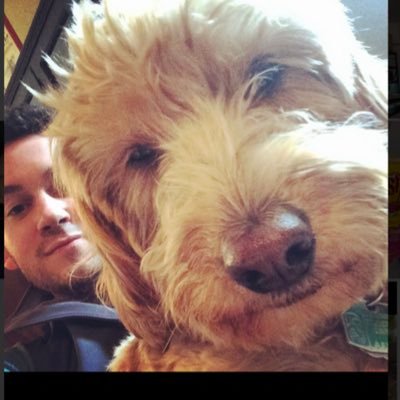 scottaengle's profile picture. Die hard K-State fan for life. Belleville, KS native.