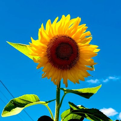 tomeさんのプロフィール画像