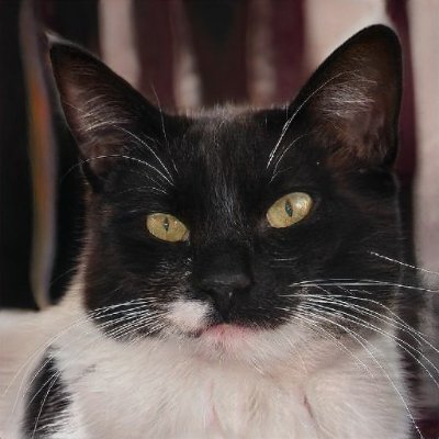 PyseGretchen's profile picture. 