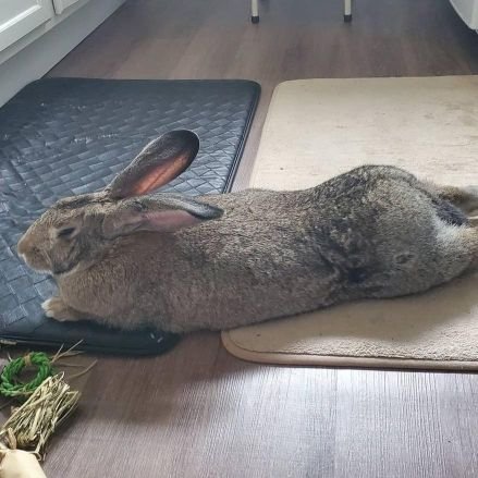 franner03's profile picture. 