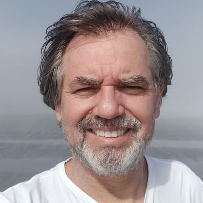 Escritor/ Professor de Letras/Antipetista/Direita/Conservador.