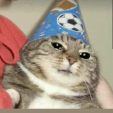 MarielReyes02's profile picture. 