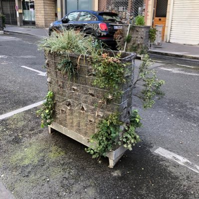 PP_Rayne_'s profile picture. 