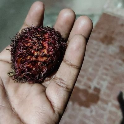 கணித ஆராய்ச்சி அறிஞர்
தமிழ் எங்கள் உயிரினும் மேல்
தமிழ் பேசும் இந்தியன்.
TAMIL SPEAKING INDIAN