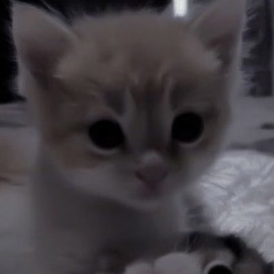 Ciivrqx's profile picture. goofy ahh goblin + mw: @exoticbuttwo

Lovesick.