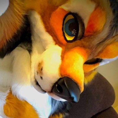 TrellinYote's profile picture. MFY yote suiter in the PNW. NSFW 18+ only.