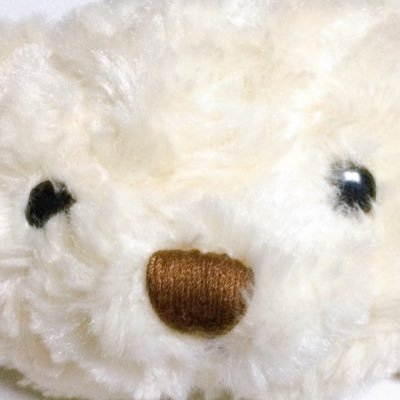 ぬここさんのプロフィール画像