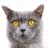 Whitney10249161's profile image