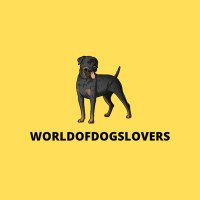 worldofdogslovers(@worldofdogslov) 's Twitter Profile Photo