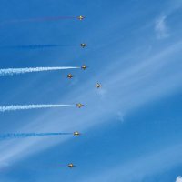 Chasing Coasters (@davidweare) 's Twitter Profile Photo