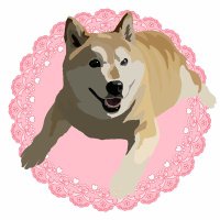 保護猫たんぽぽと虹の橋の柴犬アンちゃん(@oishiitakuan1) 's Twitter Profileg