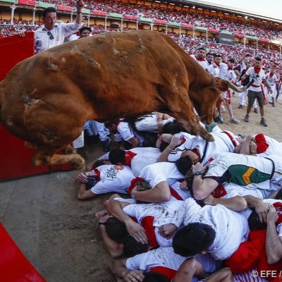 amarroyo69's profile picture. Español, taurino y mallorquinista.