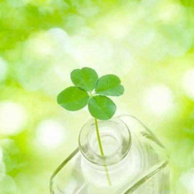 misslim19741005's profile picture. さみしがりや。どうか幸せになれますように🍀。