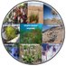 Simon Barak (@extremophytelab) Twitter profile photo Simon Barak (@extremophytelab) Twitter profile photo