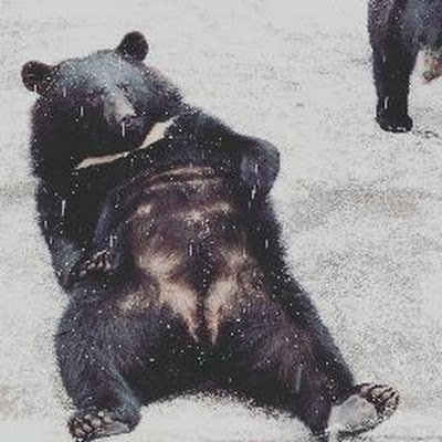 rtwyqI2EHOVo81D's profile picture. 