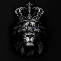 Yavuz arslan (@yavuzarslan01) 's Twitter Profile