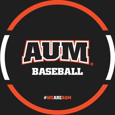 AUMWarhawksBSB Profile Picture