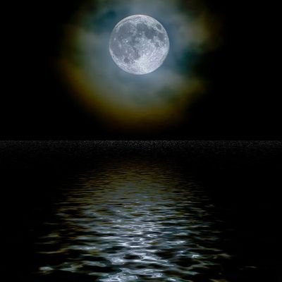 Nameles34627162's profile picture. रमाइलो दुनिया