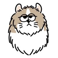 ねこさん先生 | 現役中高教員 (@tactfulneko) 's Twitter Profile