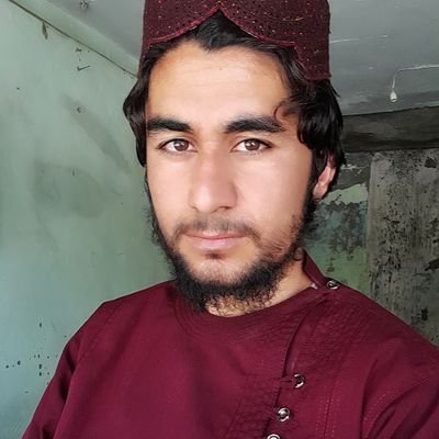 habibahmad1133's profile picture. اسلامی نظام می لویه هیله او آرزو ده