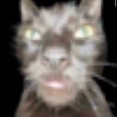 Lucasさんのプロフィール画像
