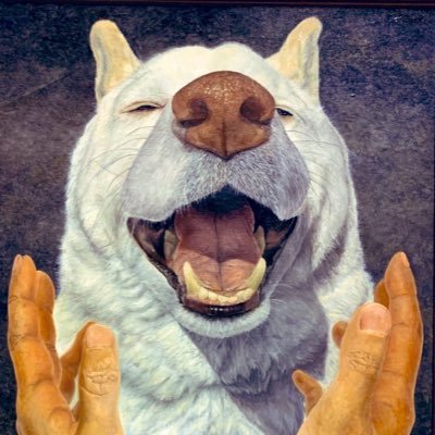 シロイコスキさんのプロフィール画像