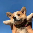 Chan Leon - @ChanLeon707 - Twitter