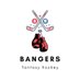 Bangers Fantasy Hockey 🥊 (@HockeyBangers) Twitter profile photo
