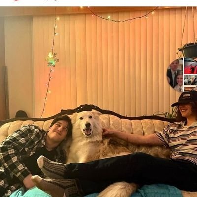 sandywi55681054's profile picture. Middle child