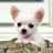 seitz1111111's profile image