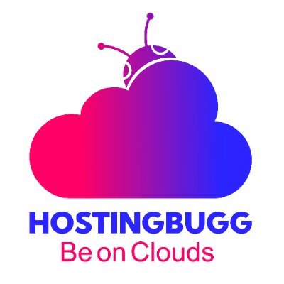 HostingBugg aims to deliver comprehensive web solutions with advanced features.