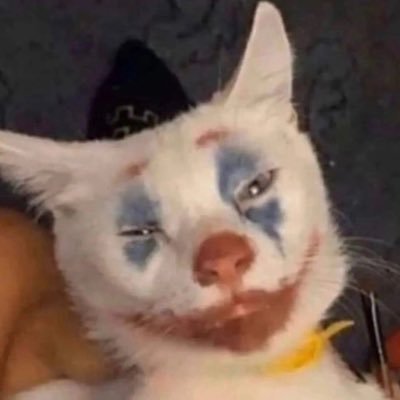 dreamcoder6's profile picture. 